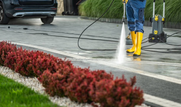 Best Vinyl Siding Pressure Washing in Cullman, AL